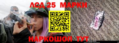 МДПВ Гусев