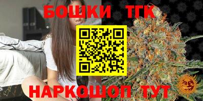 МДПВ Гусев