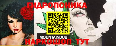 МДПВ Гусев