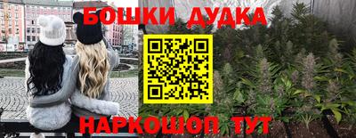 МДПВ Гусев