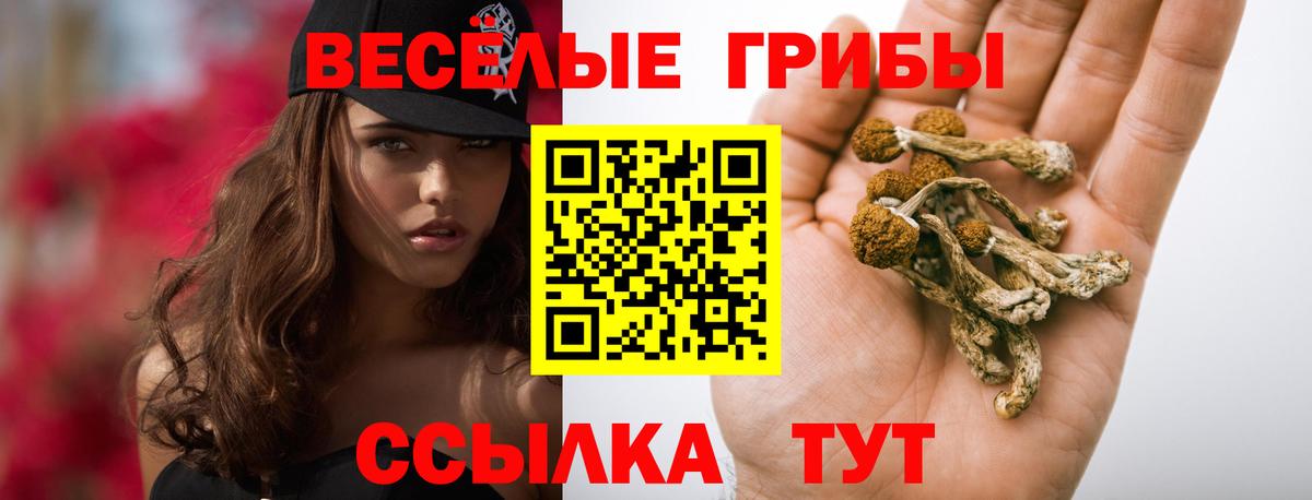 Нижневартовск  Галлюциногенные грибы Psilocybe  Вход с VPN 